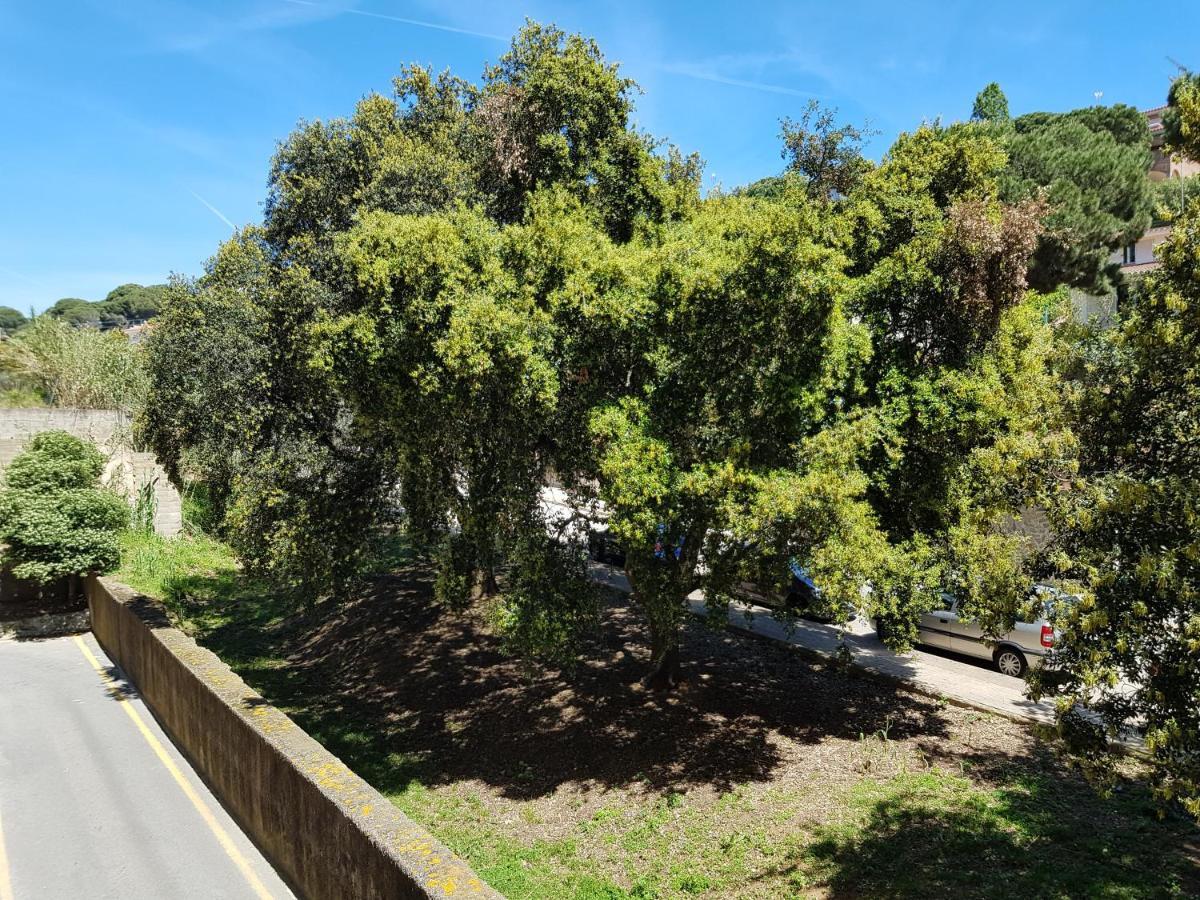 Krm Suite Apartament Calella Kültér fotó